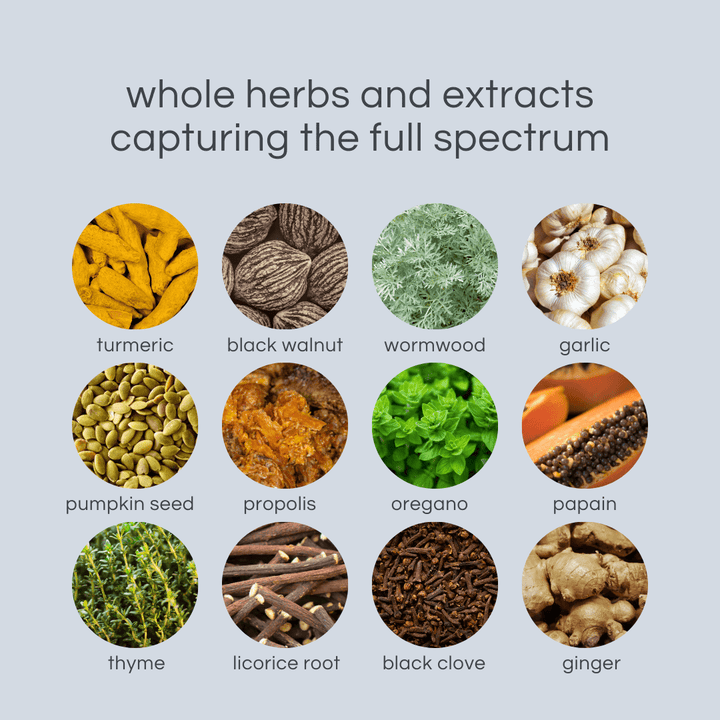 Vitafit Parasite Klenz 60 Capsules - HealthyMe