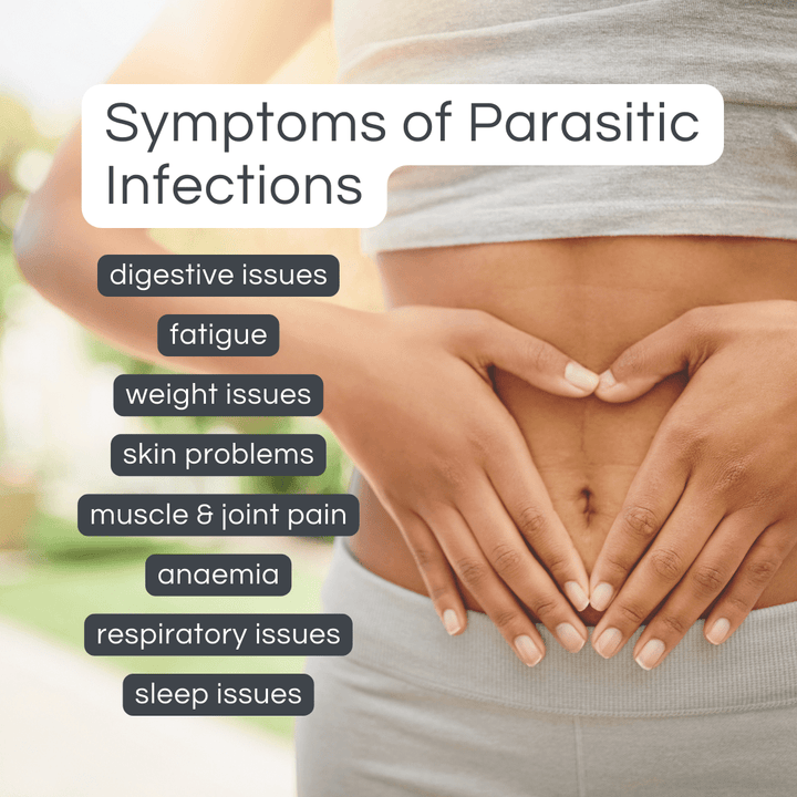 Vitafit Parasite Klenz 60 Capsules - HealthyMe