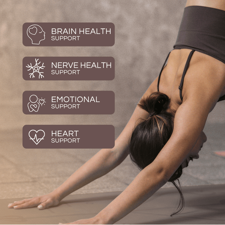 Pro-life Lion's Mane Mushroom 60 Vege Capsules - HealthyMe