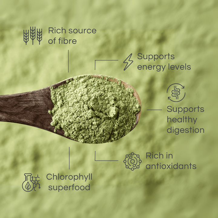 Vitafit Barley Grass Powder (NZ Grown) - HealthyMe