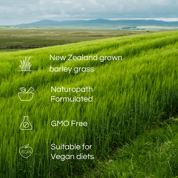 Vitafit Barley Grass Powder (NZ Grown) - HealthyMe