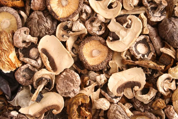 health benefits of mushrooms 