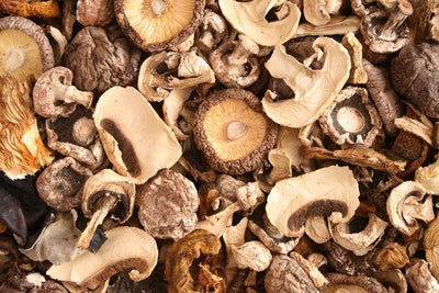 The health benefits of mushrooms