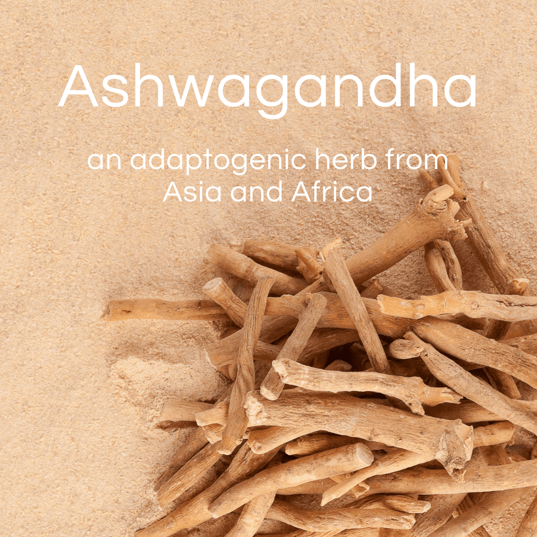 Pro-life Ashwagandha 10,000mg 45 Vege Capsules - HealthyMe