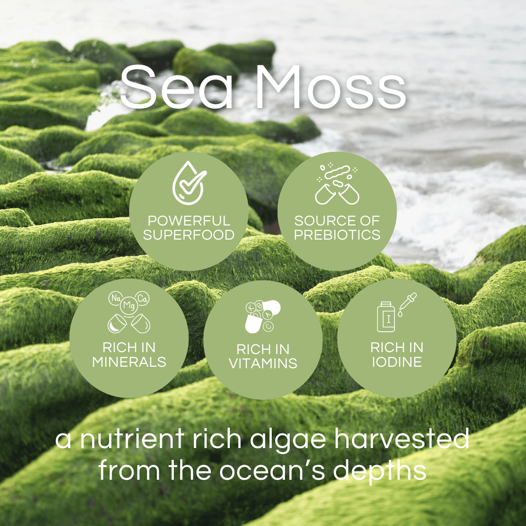 Pro-life Sea Moss 6000mg 60 Vege Capsules - HealthyMe