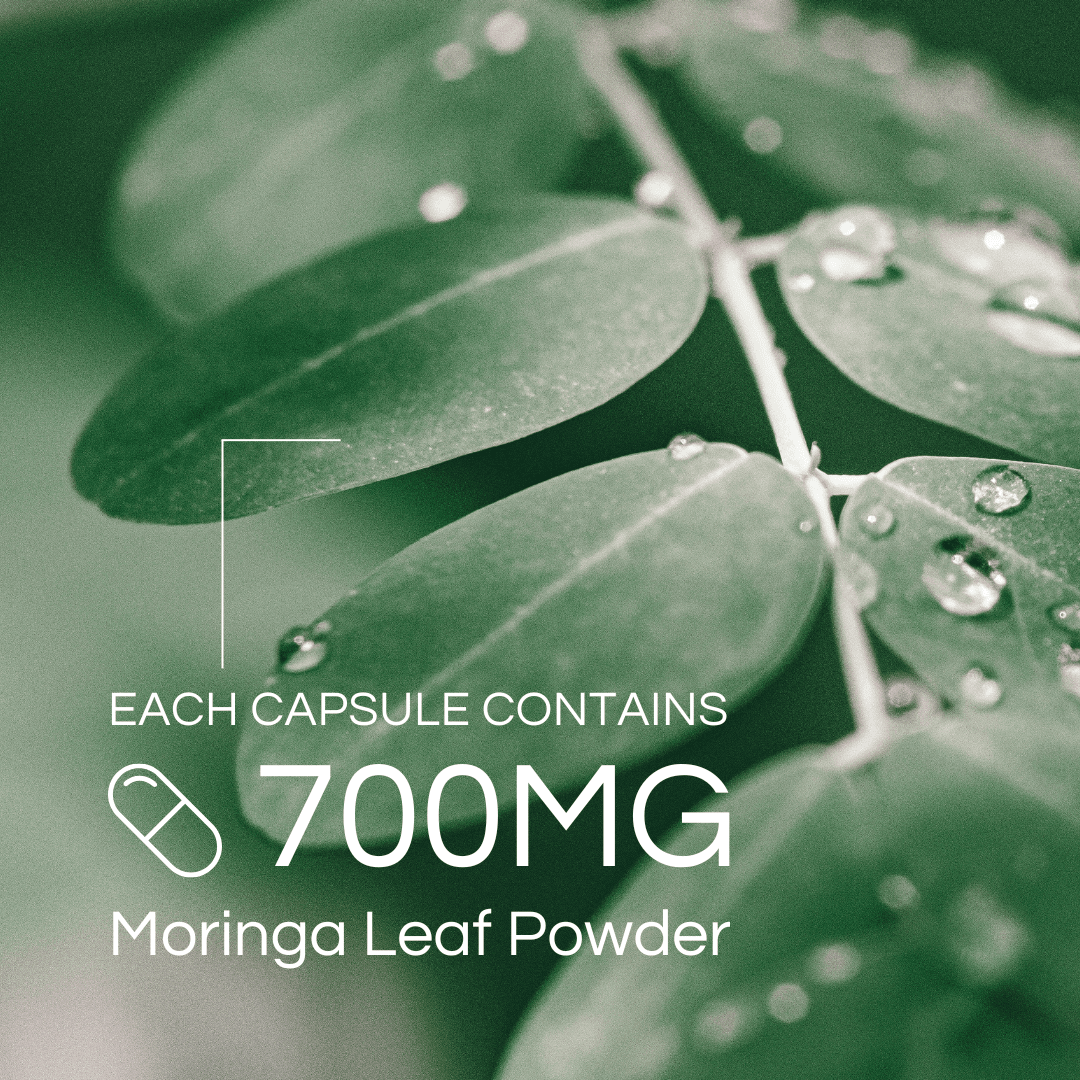 Pro-life Moringa 700mg 60 Vege Capsules - HealthyMe