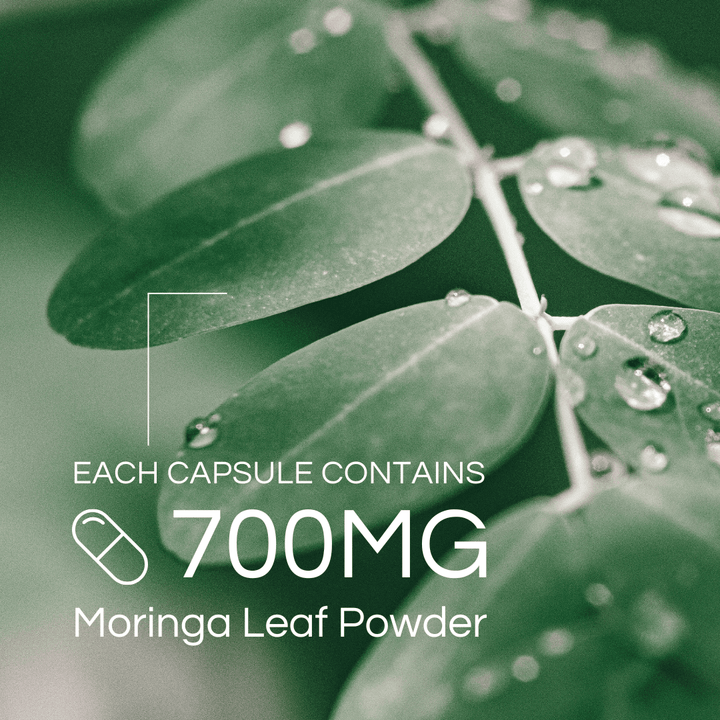 Pro-life Moringa 700mg 60 Vege Capsules - HealthyMe