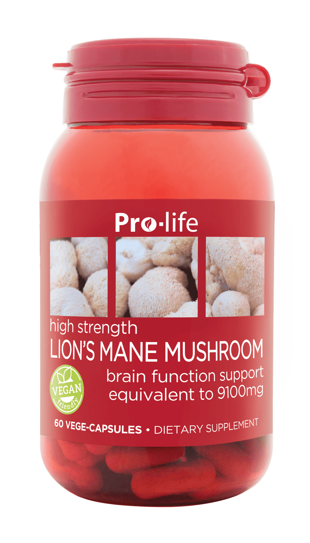 Lion's Mane Mushroom | HealthyMe